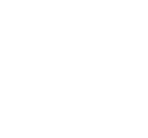Logo Virage